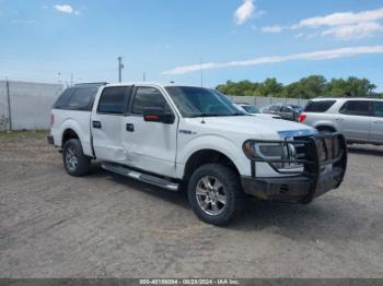  Salvage Ford F-150