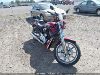  Salvage Harley-Davidson Vrscd