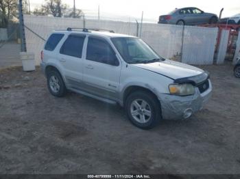  Salvage Ford Escape