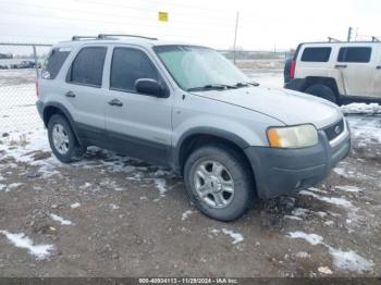  Salvage Ford Escape