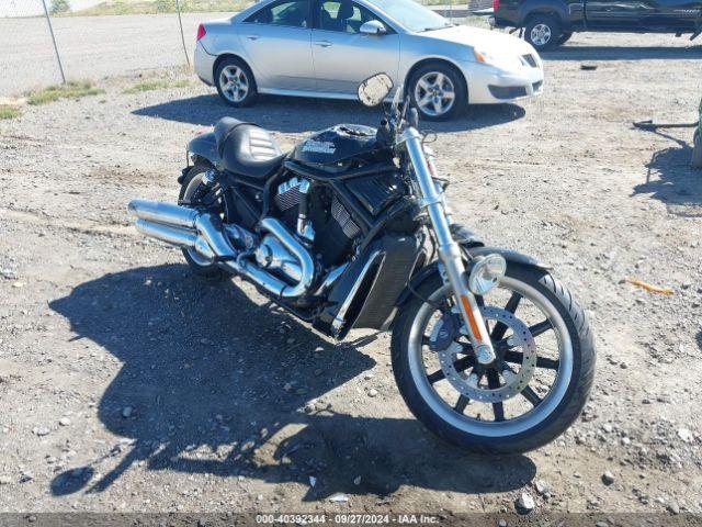  Salvage Harley-Davidson Vrscd