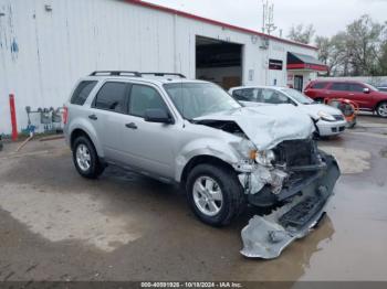  Salvage Ford Escape