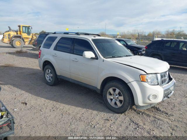  Salvage Ford Escape