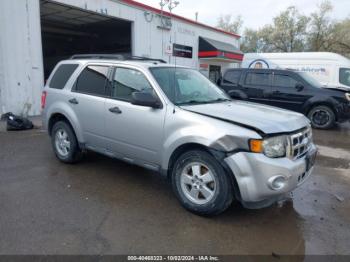  Salvage Ford Escape