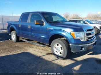  Salvage Ford F-150