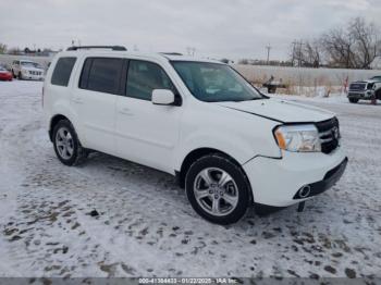  Salvage Honda Pilot