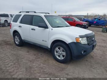  Salvage Ford Escape