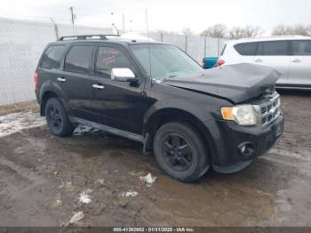  Salvage Ford Escape