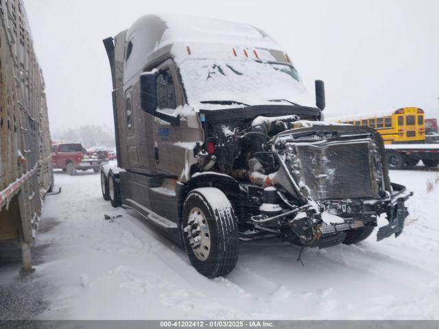  Salvage Freightliner New Cascadia 126