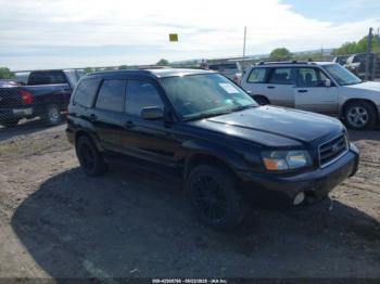  Salvage Subaru Forester