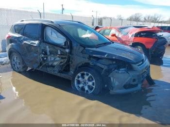  Salvage Ford Escape