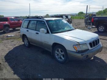  Salvage Subaru Forester