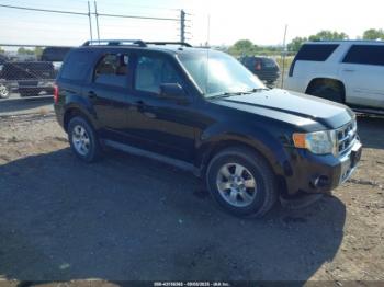  Salvage Ford Escape