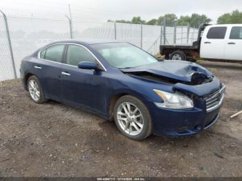  Salvage Nissan Maxima