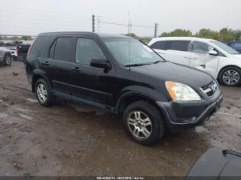  Salvage Honda CR-V