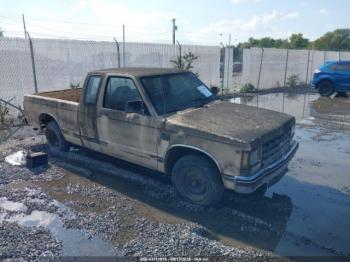  Salvage Chevrolet S Truck