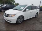 Honda Odyssey Image 3