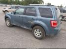 Ford Escape Limited Image 3