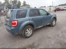 Ford Escape Limited Image 7