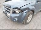 Ford Escape Limited Image 4