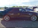 Ford Taurus Limited Image 7