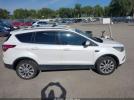 Ford Escape Titanium Image 9