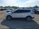 Ford Escape Titanium Image 10