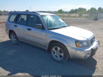  Salvage Subaru Forester