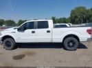 Ford F-150 Xlt Image 14