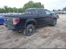 Ford F-150 Harley-davidson Image 4