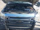 Ford F-250 Lariat Image 9
