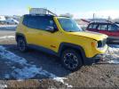 Jeep Renegade Trailhawk Image 1