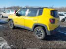 Jeep Renegade Trailhawk Image 3