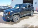 Jeep Renegade Trailhawk Image 4