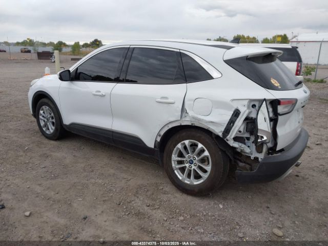 Ford Escape Se Image 4