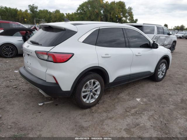 Ford Escape Se Image 5
